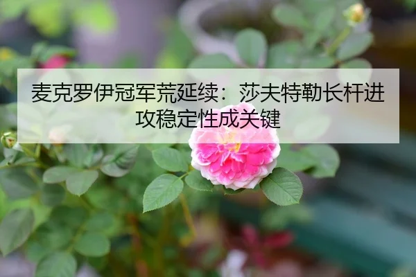 麦克罗伊冠军荒延续：莎夫特勒长杆进攻稳定性成关键
