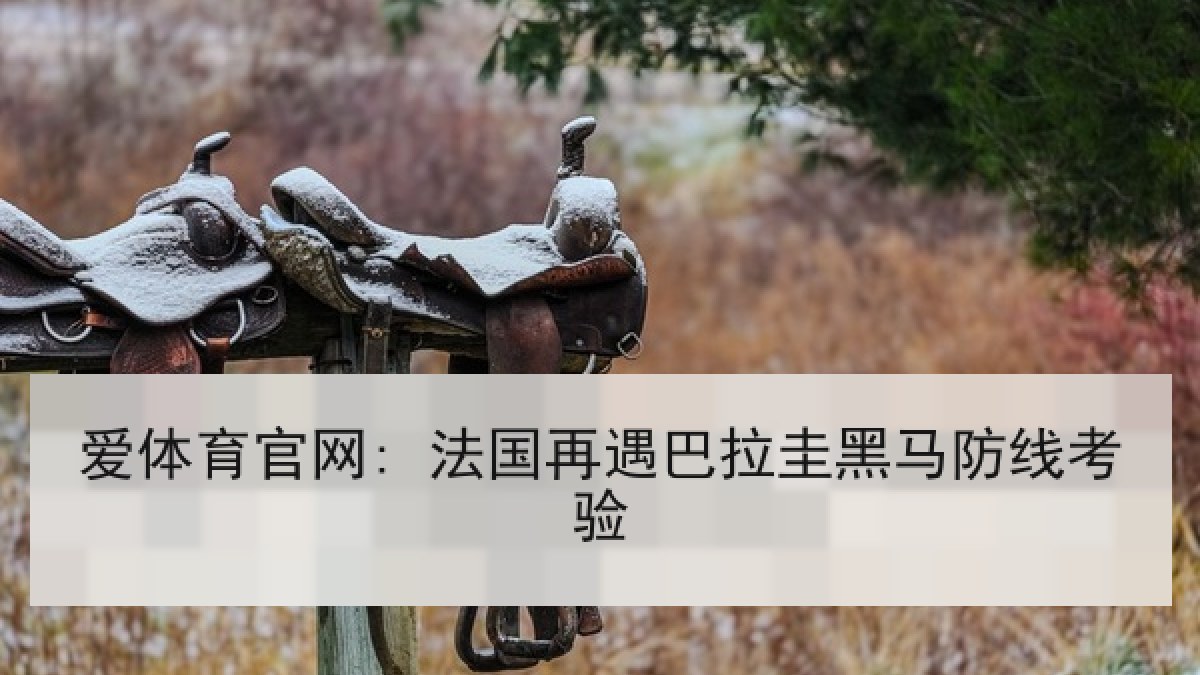 爱体育官网: 法国再遇巴拉圭黑马防线考验