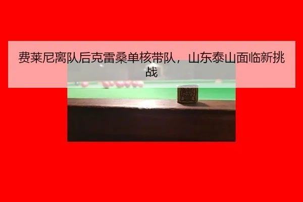 fei-lai-ni-li-dui-hou-ke-lei-sang-dan-he-dai-dui-shan-dong-tai-shan-mian-lin-xin-tiao-zhan-3-796.jpg
